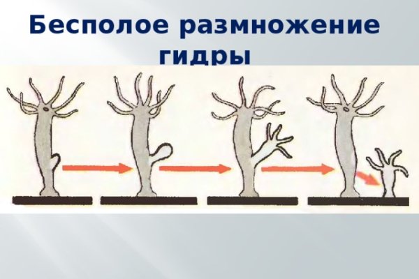 Кракен зайти